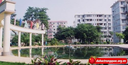 Dai-hoc-Quang-Tay